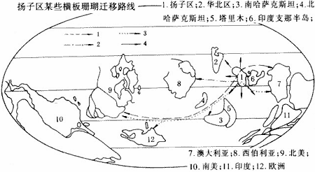 扬子区奥陶纪-志留纪横板珊瑚迁移路线图