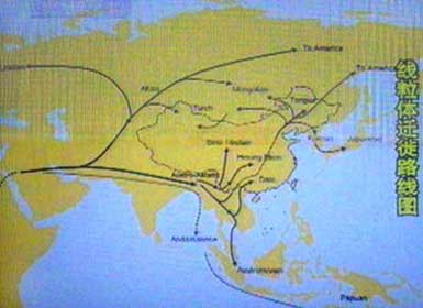 此图来源于央视10频道《谁是夏娃》